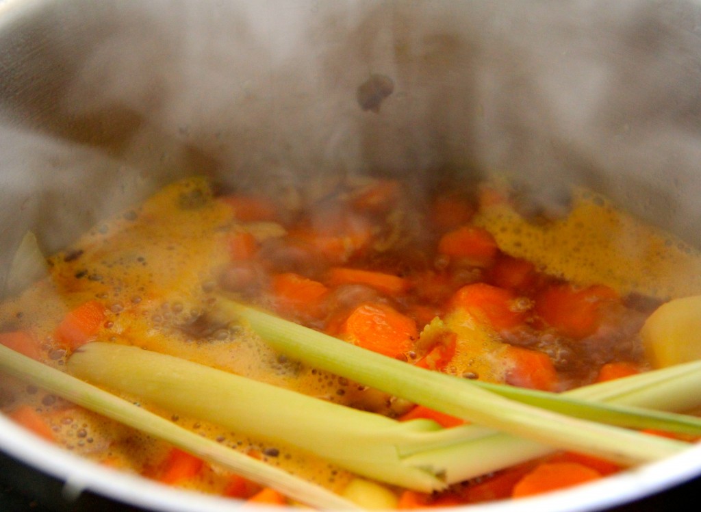 Thai Spiced Carrot Soup- Emmas Little Kitchen