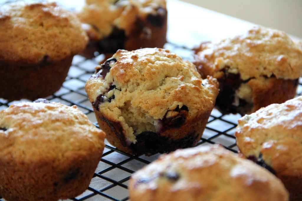 Blueberry Vanilla Muffins- Emmas Little Kitchen