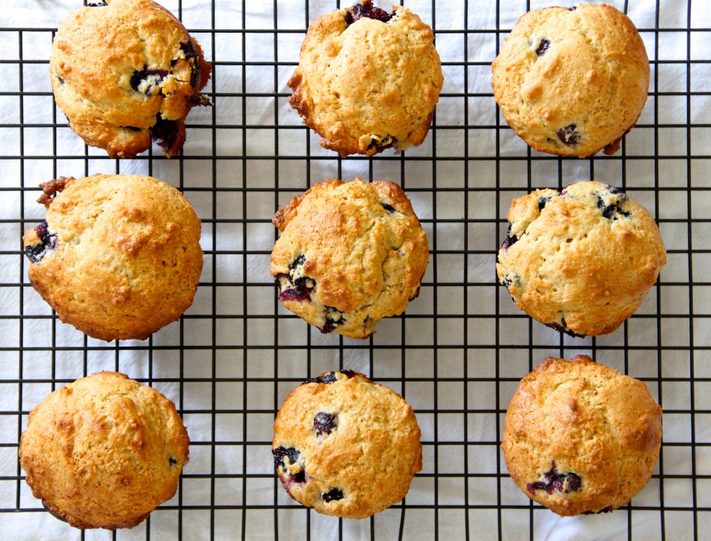 Blueberry Vanilla Muffins- Emmas Little Kitchen