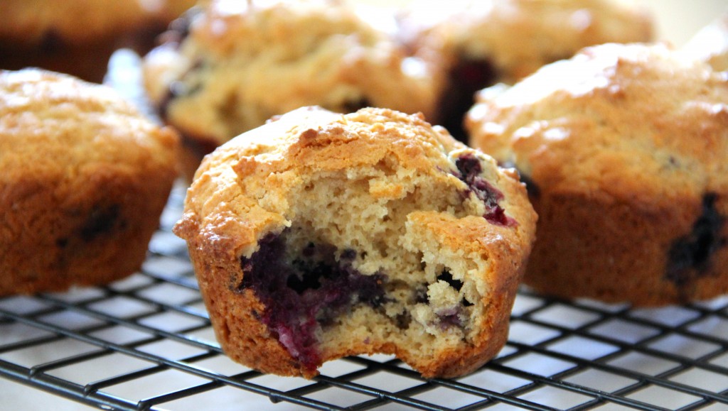 Blueberry Vanilla Muffins- Emmas Little Kitchen