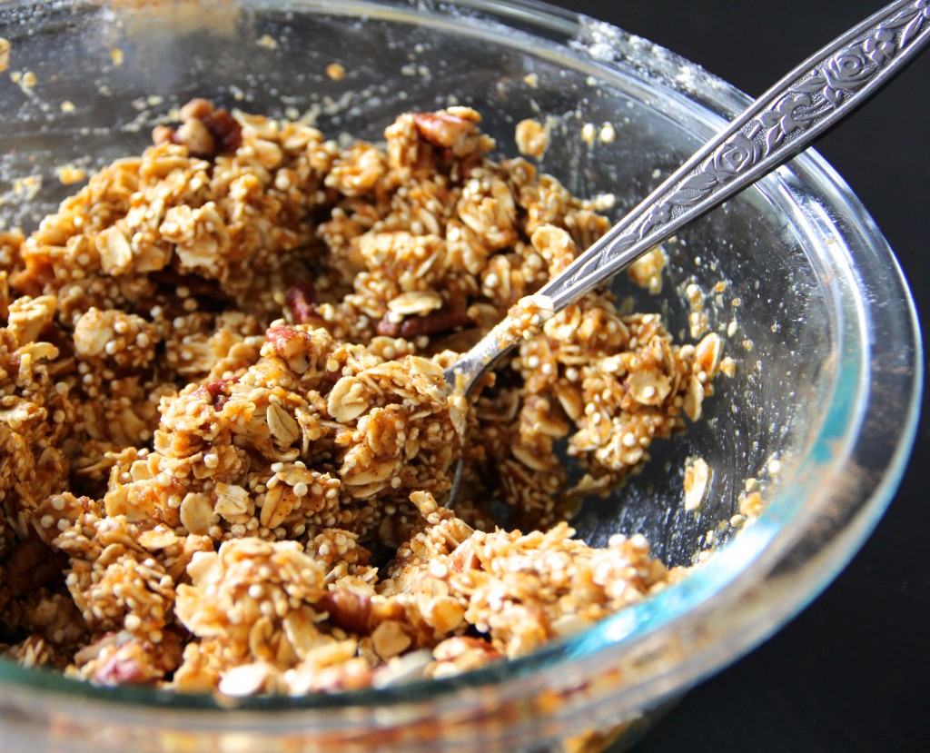 Pumpkin, Pecan & Cranberry Granola- Emma's Little Kitchen