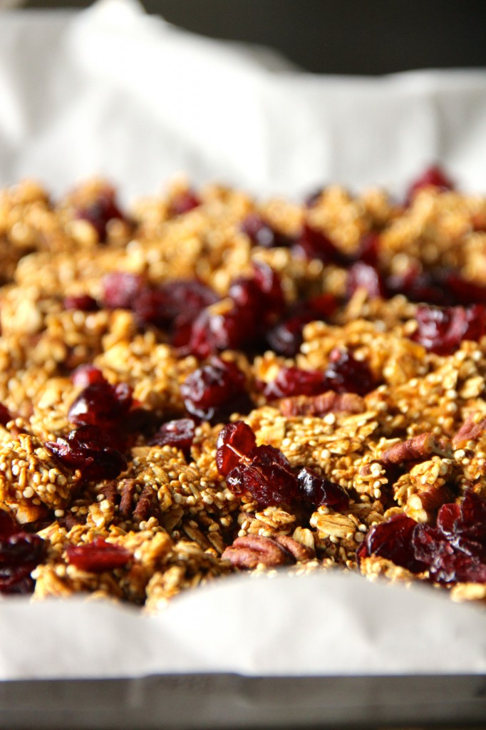 Pumpkin, Pecan & Cranberry Granola- Emma's Little Kitchen