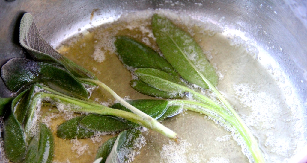 Pasta with Butternut Squash Sage Sauce- Emma's Little Kitchen