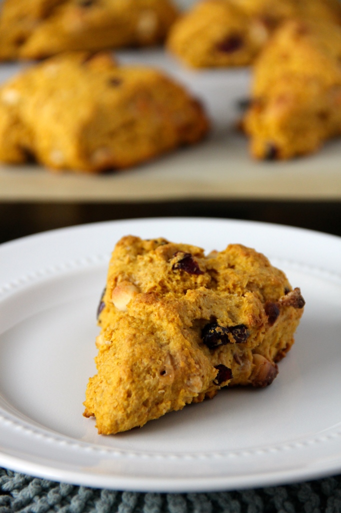 Pumpkin, White Chocolate & Cranberry Scone- Emma's Little Kitchen