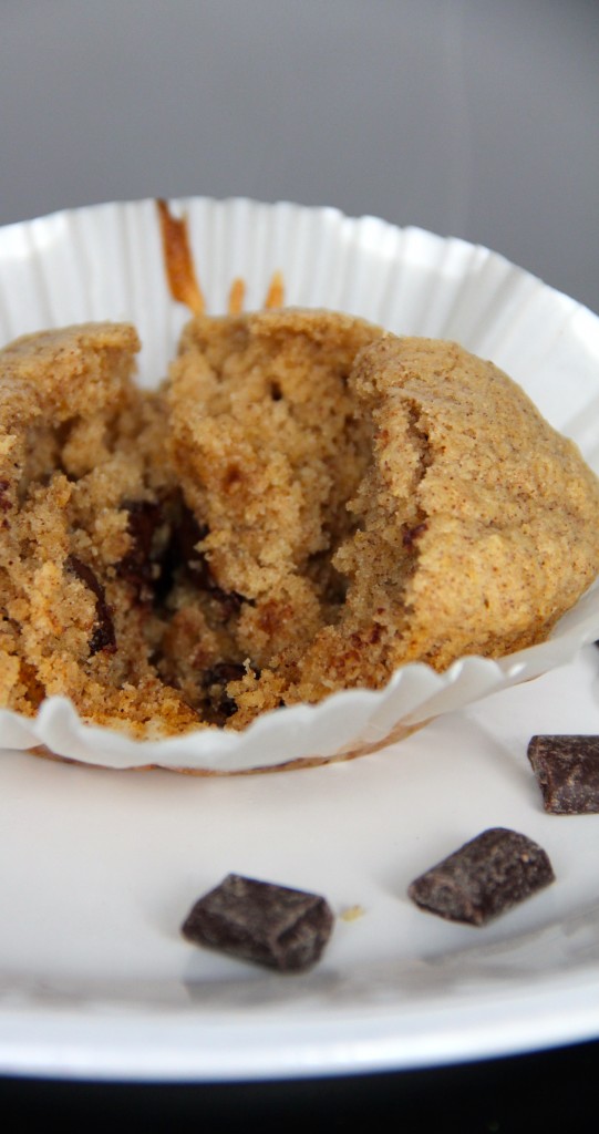 Chocolate Cinnamon Muffin