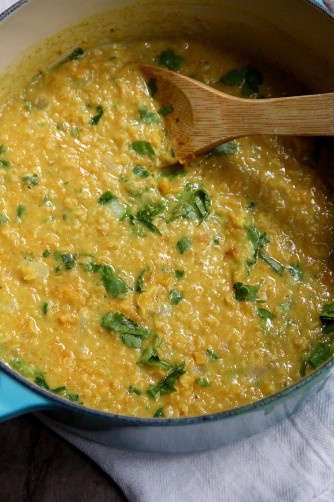Butternut Squash Lentil Curry- Emma's Little Kitchen